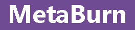 MetaBurn