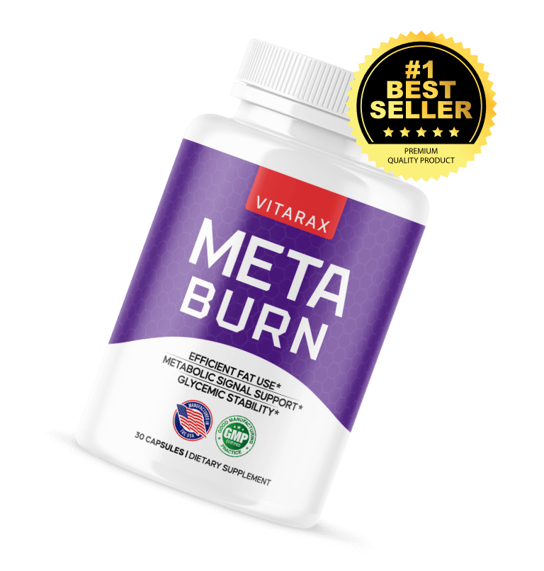 How Does MetaBurn Works?